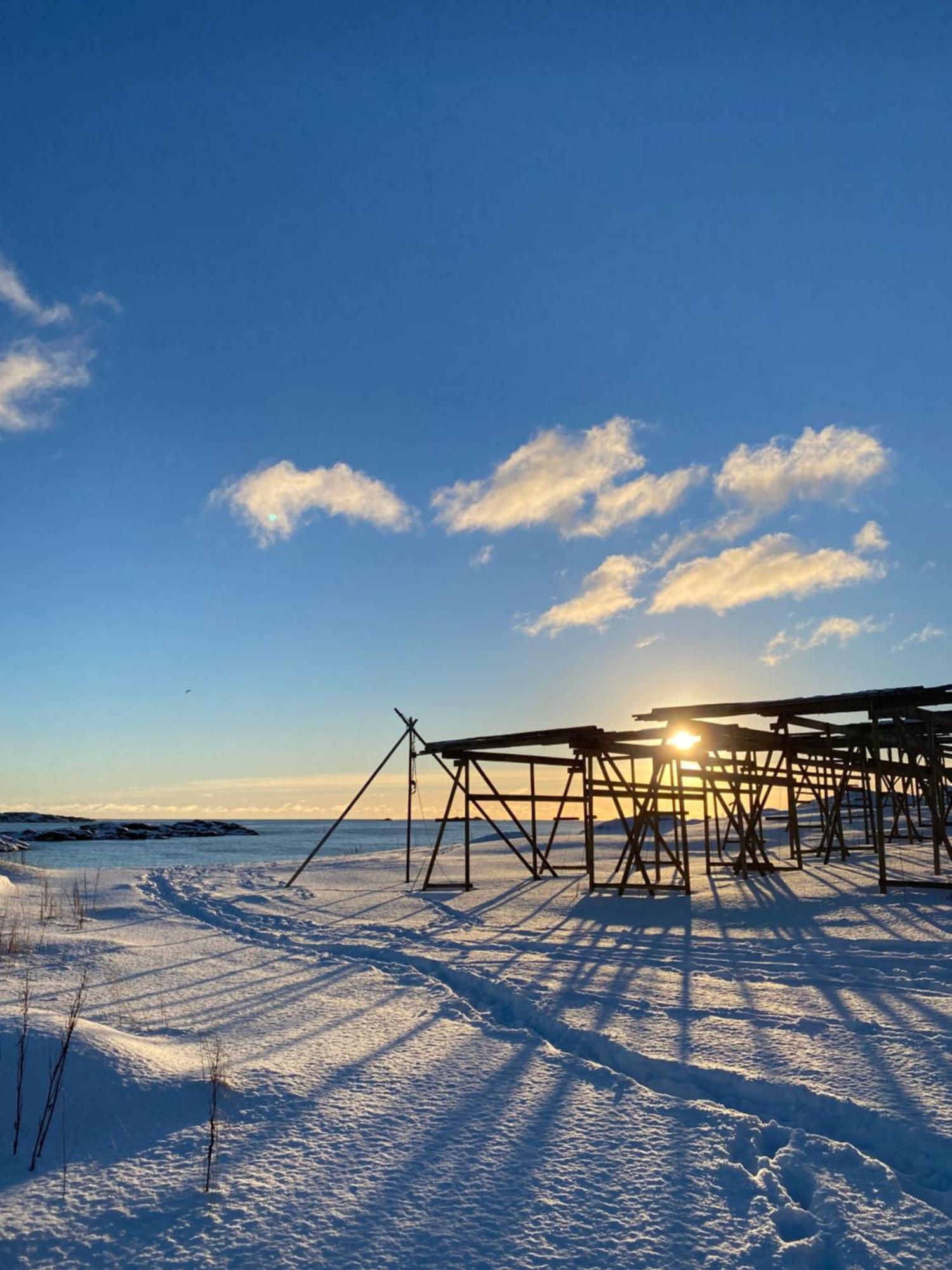 Superior Cabin Ballstad Lofoten Exterior photo
